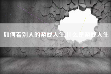如何看别人的游戏人生,什么是游戏人生