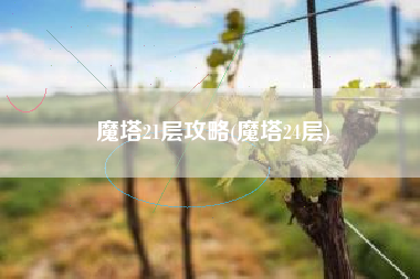 魔塔21层攻略(魔塔24层)