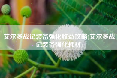 艾尔多战记装备强化收益攻略(艾尔多战记装备强化耗材)