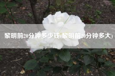 黎明前20分钟多少钱(黎明前20分钟多大)