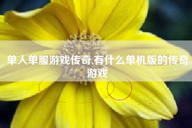 单人单服游戏传奇,有什么单机版的传奇游戏