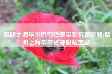 黎明之海毕尔巴鄂隐藏宝物位置攻略(黎明之海毕尔巴鄂隐藏宝藏)