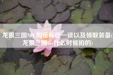龙狼三国NPC的座标谈一谈以及领取装备(龙狼三国mv什么时候拍的)