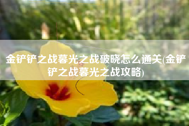 金铲铲之战暮光之战破晓怎么通关(金铲铲之战暮光之战攻略)
