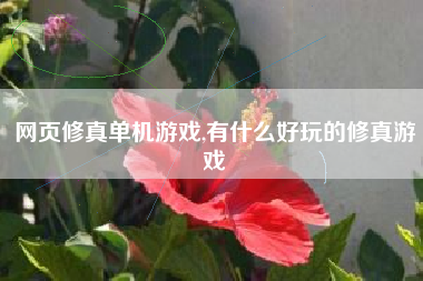 网页修真单机游戏,有什么好玩的修真游戏