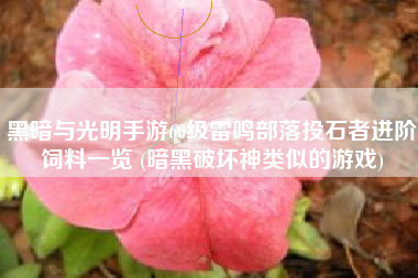 黑暗与光明手游60级雷鸣部落投石者进阶饲料一览 (暗黑破坏神类似的游戏)