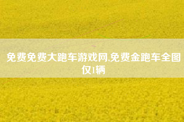 免费免费大跑车游戏网,免费金跑车全图仅1辆