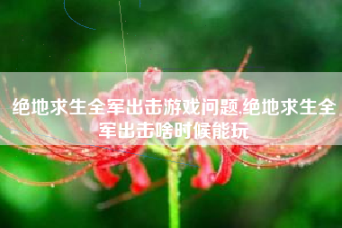 绝地求生全军出击游戏问题,绝地求生全军出击啥时候能玩