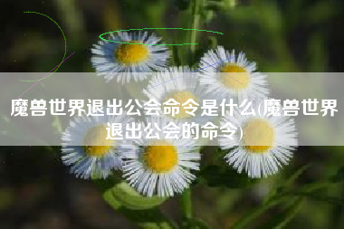 魔兽世界退出公会命令是什么(魔兽世界退出公会的命令)