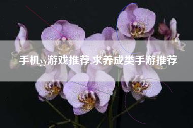 手机yy游戏推荐,求养成类手游推荐