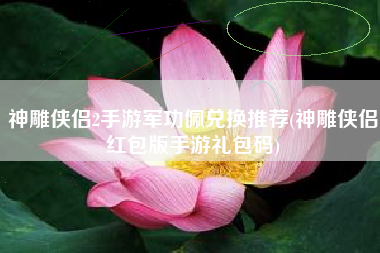 神雕侠侣2手游军功佩兑换推荐(神雕侠侣红包版手游礼包码)
