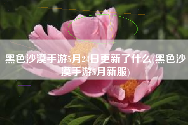 黑色沙漠手游5月24日更新了什么(黑色沙漠手游5月新服)