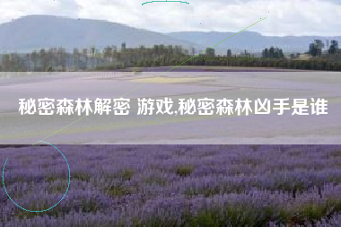 秘密森林解密 游戏,秘密森林凶手是谁