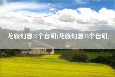 龙族幻想15个自研(龙族幻想15个自研)