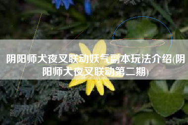 阴阳师犬夜叉联动妖气副本玩法介绍(阴阳师犬夜叉联动第二期)