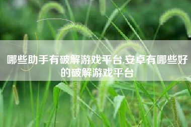 哪些助手有破解游戏平台,安卓有哪些好的破解游戏平台