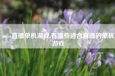 miss直播单机游戏,有哪些适合直播的单机游戏