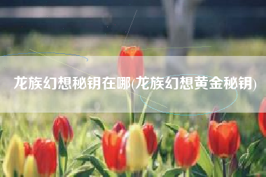 龙族幻想秘钥在哪(龙族幻想黄金秘钥)