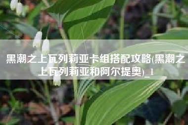 黑潮之上瓦列莉亚卡组搭配攻略(黑潮之上瓦列莉亚和阿尔提奥)_1