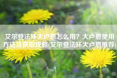 艾尔登法环大卢恩怎么用？大卢恩使用方法及获取攻略(艾尔登法环大卢恩推荐)