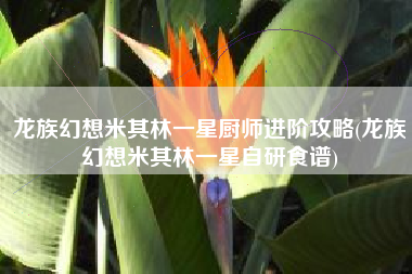 龙族幻想米其林一星厨师进阶攻略(龙族幻想米其林一星自研食谱)