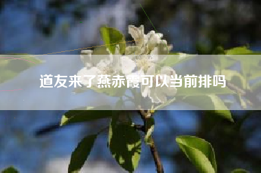 道友来了燕赤霞可以当前排吗
