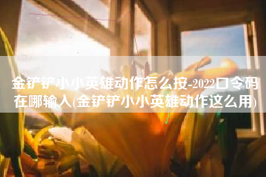 金铲铲小小英雄动作怎么按-2022口令码在哪输入(金铲铲小小英雄动作这么用)