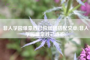 非人学园爆豪胜己应援团搭配文章(非人学园爆豪胜己连招)