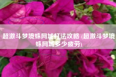 超激斗梦境蛛网城打法攻略 (超激斗梦境蛛网城多少疲劳)