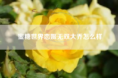 蜜糖世界恋姬无双大乔怎么样