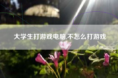 大学生打游戏电脑,不怎么打游戏