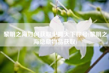 黎明之海如何获取坐拥天下称号(黎明之海隐藏物品获取)