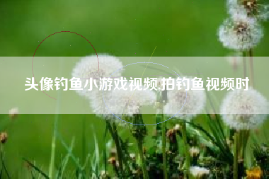 头像钓鱼小游戏视频,拍钓鱼视频时