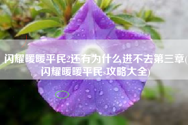 闪耀暖暖平民2还有为什么进不去第三章(闪耀暖暖平民s攻略大全)