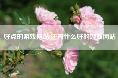 好点的游戏网站,还有什么好的游戏网站