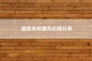 黑色未知通关心得分享