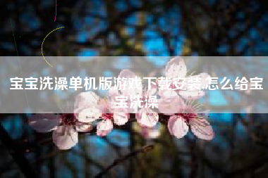 宝宝洗澡单机版游戏下载安装,怎么给宝宝洗澡