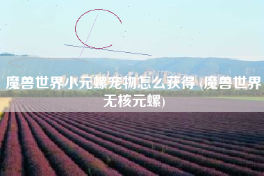 魔兽世界小元螺宠物怎么获得 (魔兽世界无核元螺)