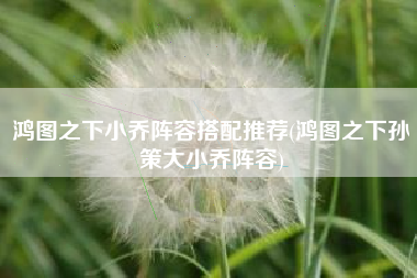 鸿图之下小乔阵容搭配推荐(鸿图之下孙策大小乔阵容)