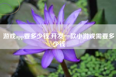 游戏app要多少钱,开发一款小游戏需要多少钱