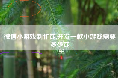 微信小游戏制作钱,开发一款小游戏需要多少钱