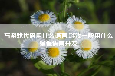 写游戏代码用什么语言,游戏一般用什么编程语言开发