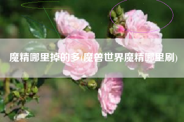 魔精哪里掉的多(魔兽世界魔精哪里刷)