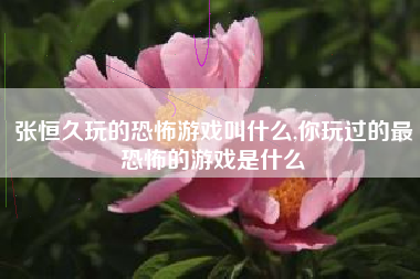 张恒久玩的恐怖游戏叫什么,你玩过的最恐怖的游戏是什么