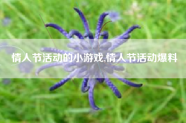 情人节活动的小游戏,情人节活动爆料