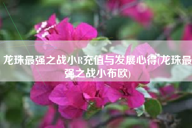 龙珠最强之战小R充值与发展心得(龙珠最强之战小布欧)