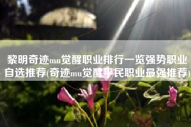 黎明奇迹mu觉醒职业排行一览强势职业自选推荐(奇迹mu觉醒平民职业最强推荐)