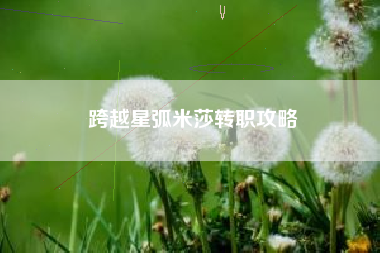 跨越星弧米莎转职攻略