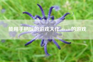 能用手柄玩的游戏大作,steam的游戏