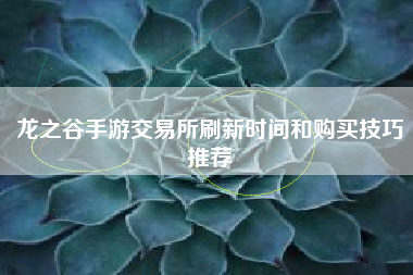 龙之谷手游交易所刷新时间和购买技巧推荐